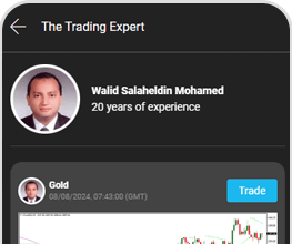 The Trading Expert